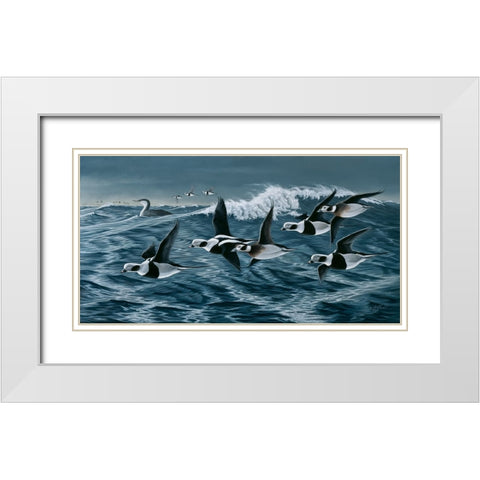 Rough Day On The Bay - Oldsquaw Ducks White Modern Wood Framed Art Print with Double Matting by Goebel, Wilhelm