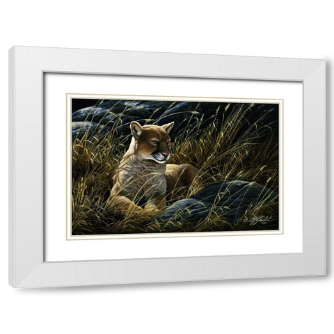 Cougar In The Grass White Modern Wood Framed Art Print with Double Matting by Goebel, Wilhelm