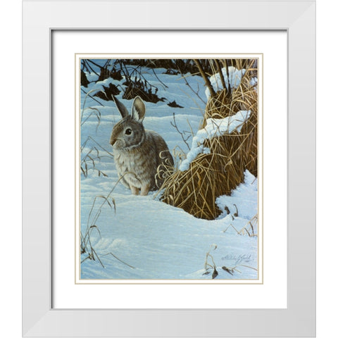 Snow Cover Cottontail White Modern Wood Framed Art Print with Double Matting by Goebel, Wilhelm