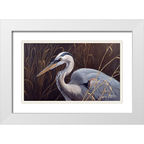 Great Blue Heron White Modern Wood Framed Art Print with Double Matting by Goebel, Wilhelm