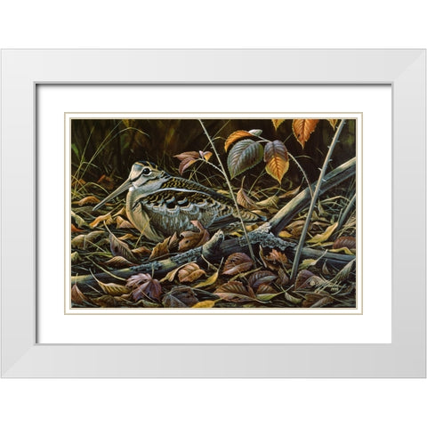 Migration Stop  - Woodcock White Modern Wood Framed Art Print with Double Matting by Goebel, Wilhelm