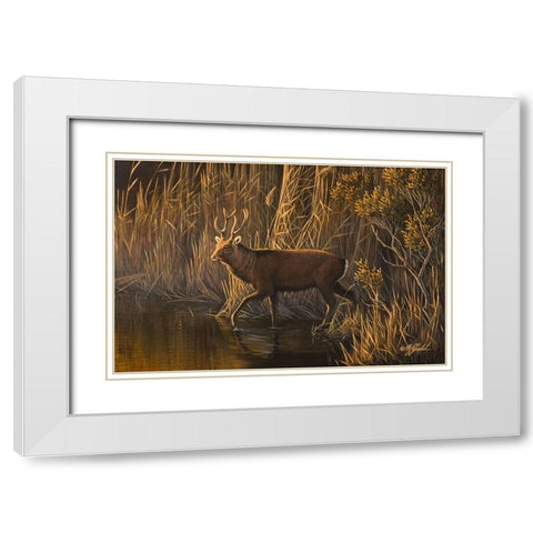 Evening Rounds Sika Deer White Modern Wood Framed Art Print with Double Matting by Goebel, Wilhelm