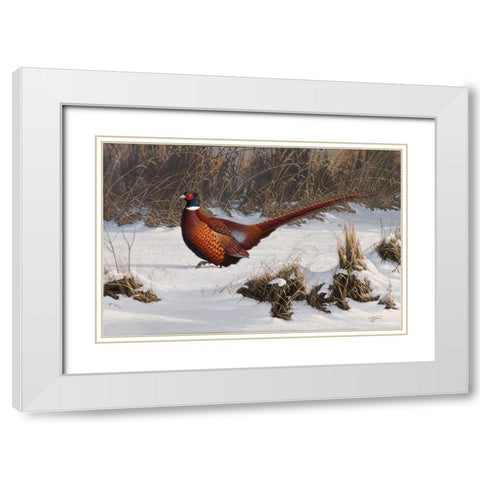 Winter Walk Pheasant White Modern Wood Framed Art Print with Double Matting by Goebel, Wilhelm