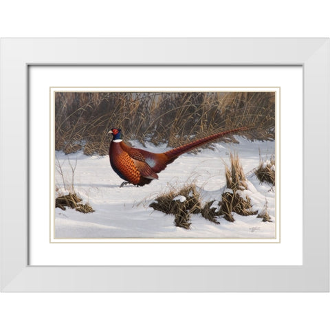 Winter Walk Pheasant White Modern Wood Framed Art Print with Double Matting by Goebel, Wilhelm