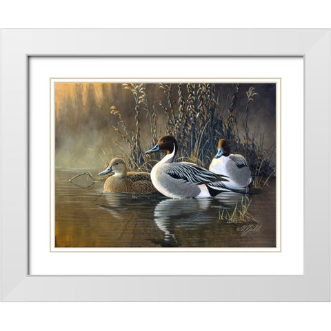 Pintail Trios White Modern Wood Framed Art Print with Double Matting by Goebel, Wilhelm