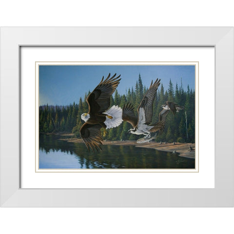 Eagle Osprey White Modern Wood Framed Art Print with Double Matting by Goebel, Wilhelm