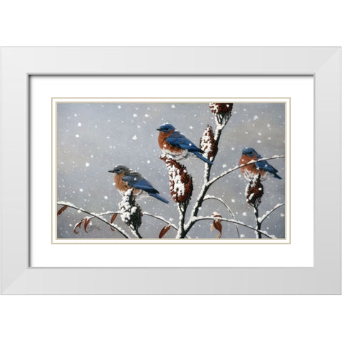 Winter Trio White Modern Wood Framed Art Print with Double Matting by Goebel, Wilhelm