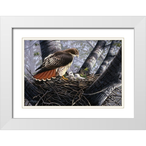In The Nest White Modern Wood Framed Art Print with Double Matting by Goebel, Wilhelm