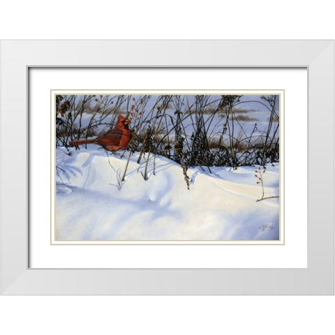 Winter Cardinal White Modern Wood Framed Art Print with Double Matting by Goebel, Wilhelm