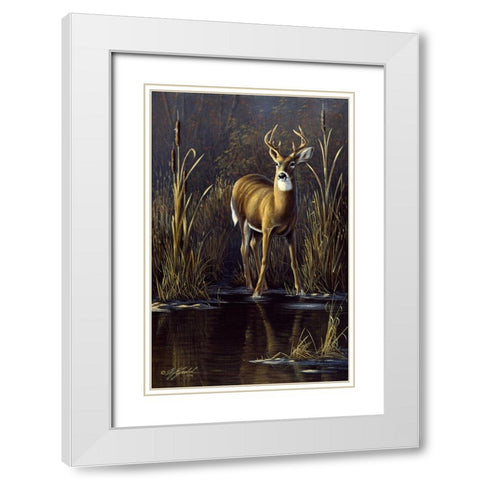 Whitetail Buck White Modern Wood Framed Art Print with Double Matting by Goebel, Wilhelm