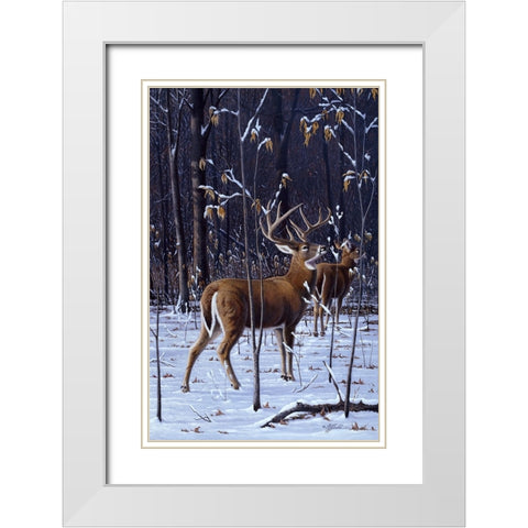 In His Prime - Whitetail White Modern Wood Framed Art Print with Double Matting by Goebel, Wilhelm