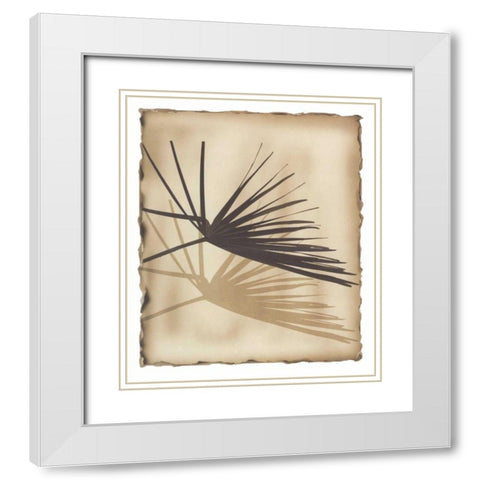 Tropic Palm 1 White Modern Wood Framed Art Print with Double Matting by Avant Art