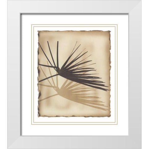 Tropic Palm 1 White Modern Wood Framed Art Print with Double Matting by Avant Art