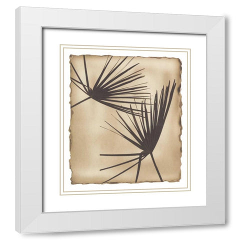 Tropic Palm 2 White Modern Wood Framed Art Print with Double Matting by Avant Art