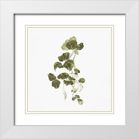 Leaves In Autumn Green 1 White Modern Wood Framed Art Print with Double Matting by Adebowale