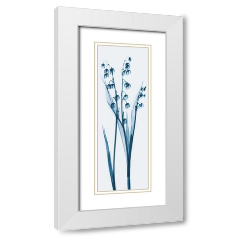 Lily of the Valley in Blue White Modern Wood Framed Art Print with Double Matting by Koetsier, Albert