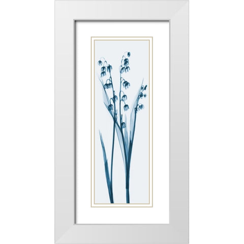 Lily of the Valley in Blue White Modern Wood Framed Art Print with Double Matting by Koetsier, Albert