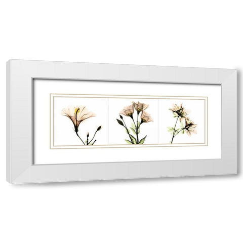 Pink Floral Tryp Tych I White Modern Wood Framed Art Print with Double Matting by Koetsier, Albert