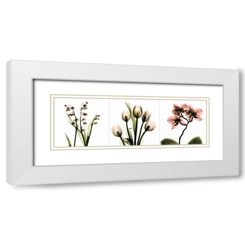 Pink Floral Tryp Tych II White Modern Wood Framed Art Print with Double Matting by Koetsier, Albert