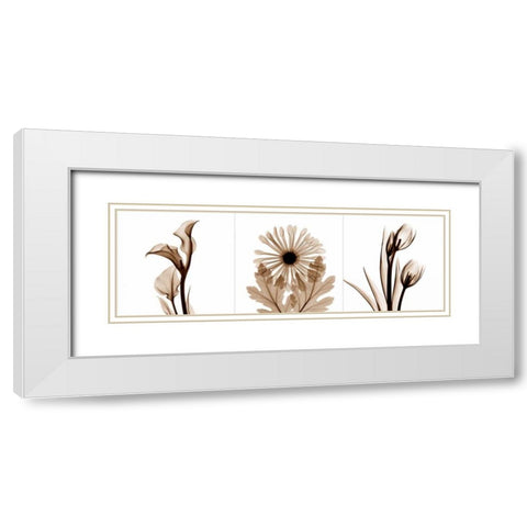 Sepia Floral Tryp Tych III White Modern Wood Framed Art Print with Double Matting by Koetsier, Albert
