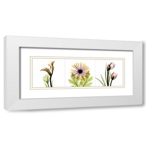 Pink Floral Tryp Tych III White Modern Wood Framed Art Print with Double Matting by Koetsier, Albert