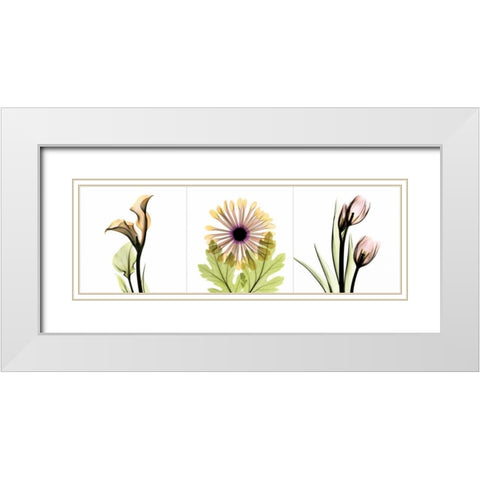 Pink Floral Tryp Tych III White Modern Wood Framed Art Print with Double Matting by Koetsier, Albert