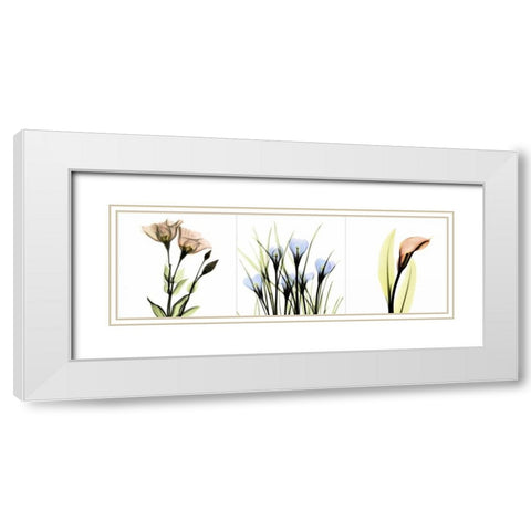 Multi-color Floral Tryp Tych I White Modern Wood Framed Art Print with Double Matting by Koetsier, Albert