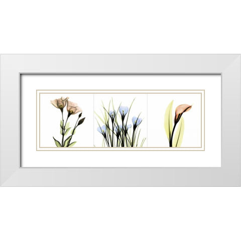 Multi-color Floral Tryp Tych I White Modern Wood Framed Art Print with Double Matting by Koetsier, Albert