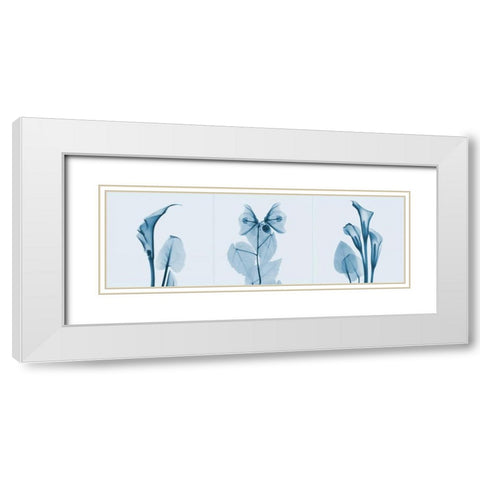 Lilies Triple in Blue White Modern Wood Framed Art Print with Double Matting by Koetsier, Albert