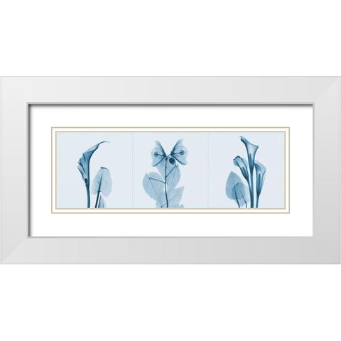 Lilies Triple in Blue White Modern Wood Framed Art Print with Double Matting by Koetsier, Albert