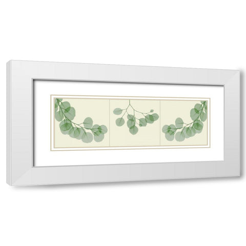 Leaf Triple in Green 2 White Modern Wood Framed Art Print with Double Matting by Koetsier, Albert