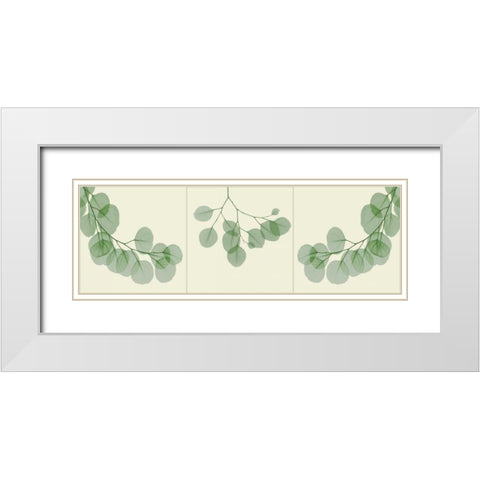 Leaf Triple in Green 2 White Modern Wood Framed Art Print with Double Matting by Koetsier, Albert