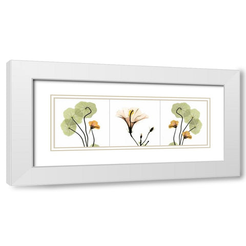 Triple in Color White Modern Wood Framed Art Print with Double Matting by Koetsier, Albert