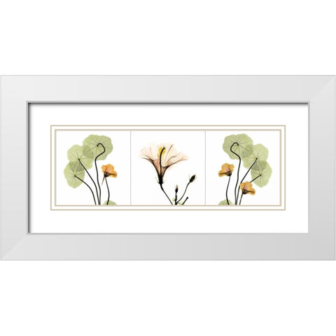 Triple in Color White Modern Wood Framed Art Print with Double Matting by Koetsier, Albert