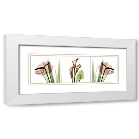 Triple in Pink White Modern Wood Framed Art Print with Double Matting by Koetsier, Albert