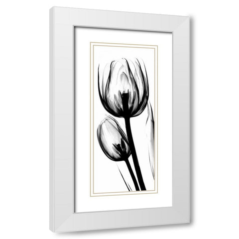 Tulip in BandW White Modern Wood Framed Art Print with Double Matting by Koetsier, Albert
