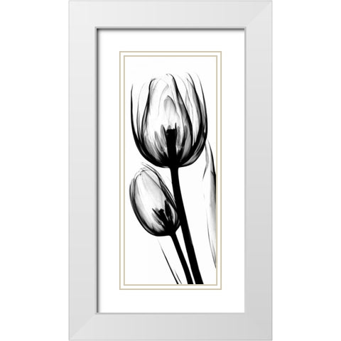 Tulip in BandW White Modern Wood Framed Art Print with Double Matting by Koetsier, Albert