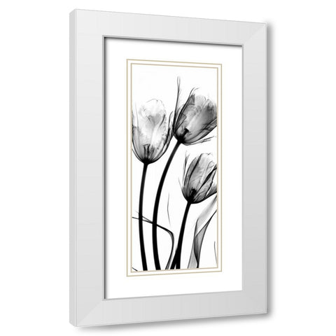 Tulips White Modern Wood Framed Art Print with Double Matting by Koetsier, Albert