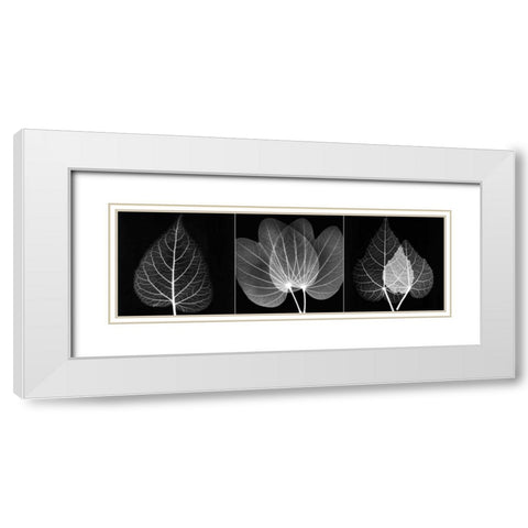 Leaf Triple on Black 2 White Modern Wood Framed Art Print with Double Matting by Koetsier, Albert