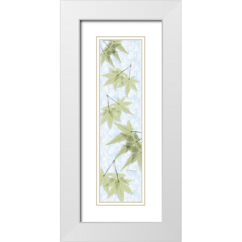 Green on Green Maple White Modern Wood Framed Art Print with Double Matting by Koetsier, Albert