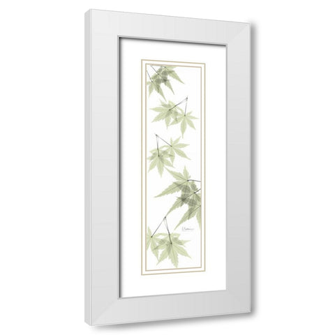Leaves in Green White Modern Wood Framed Art Print with Double Matting by Koetsier, Albert