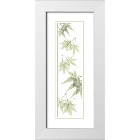 Leaves in Green White Modern Wood Framed Art Print with Double Matting by Koetsier, Albert