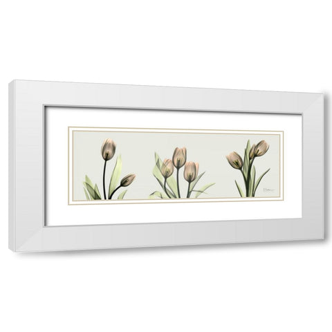 Spring  Tulip Triple White Modern Wood Framed Art Print with Double Matting by Koetsier, Albert