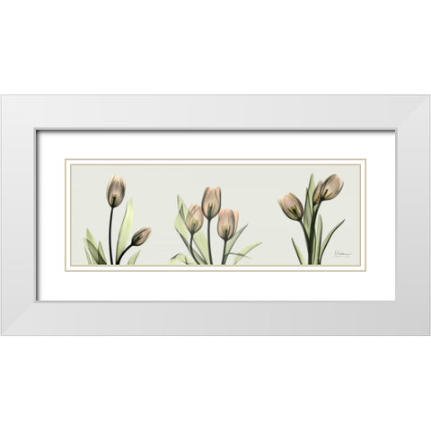 Spring  Tulip Triple White Modern Wood Framed Art Print with Double Matting by Koetsier, Albert