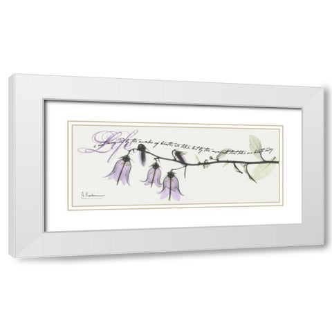 Campanula Life White Modern Wood Framed Art Print with Double Matting by Koetsier, Albert