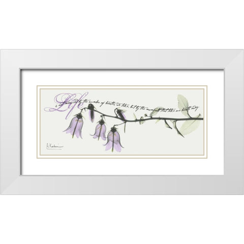 Campanula Life White Modern Wood Framed Art Print with Double Matting by Koetsier, Albert