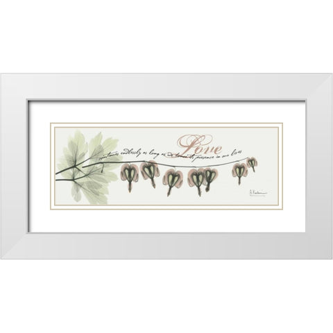 Bleeding Heart Love White Modern Wood Framed Art Print with Double Matting by Koetsier, Albert