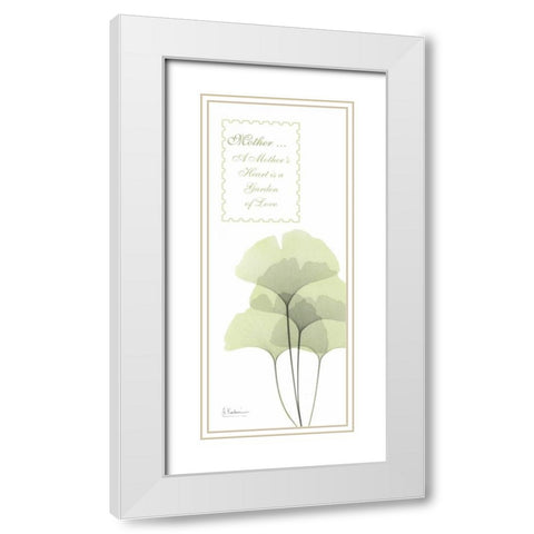 Ginkgo - Mother White Modern Wood Framed Art Print with Double Matting by Koetsier, Albert