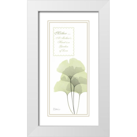 Ginkgo - Mother White Modern Wood Framed Art Print with Double Matting by Koetsier, Albert