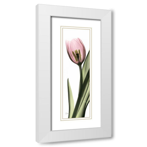 Tulip in Color 2 White Modern Wood Framed Art Print with Double Matting by Koetsier, Albert